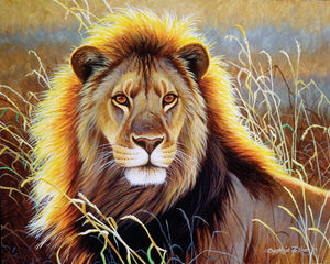 Malen nach Zahlen – Löwe in der Savanne