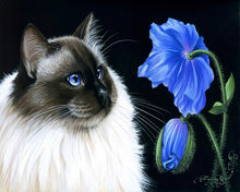 Laden Sie das Bild in den Galerie-Viewer, Malen nach Zahlen – Katze und Blume