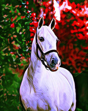 Laden Sie das Bild in den Galerie-Viewer, Diamond Painting – Weißes Pferd – 40 x 50 cm auf Keilrahmen gespannt | Figured&#39;Art