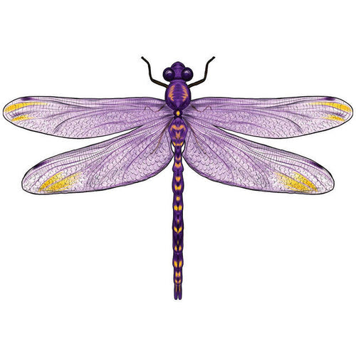 2D Holzpuzzle – Ätherische Libelle