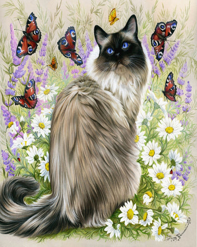 Malen nach Zahlen – Katze und Schmetterlinge