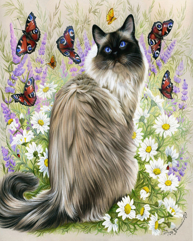 Malen nach Zahlen – Katze und Schmetterlinge
