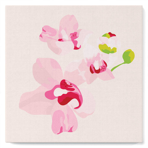 Mini Malen nach Zahlen mit Rahmen 20x20cm - Orchideenblumen