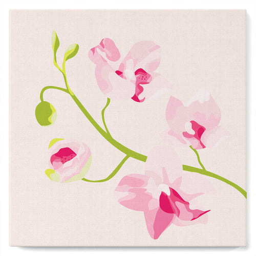 Mini Malen nach Zahlen mit Rahmen 20x20cm - Orchideenzweig