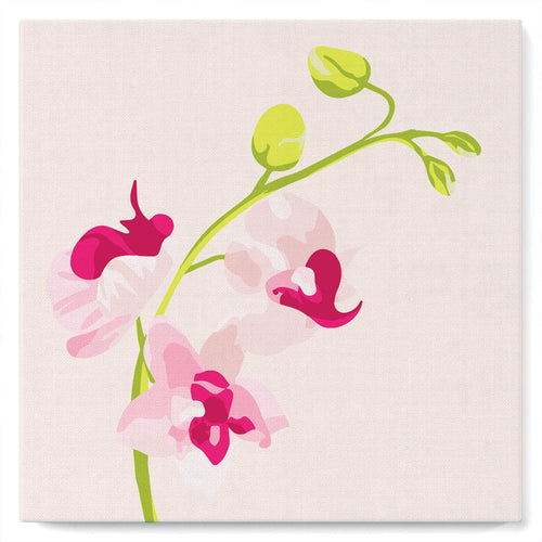 Mini Malen nach Zahlen mit Rahmen 20x20cm - Orchideenzweig 2
