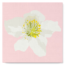 Laden Sie das Bild in den Galerie-Viewer, Mini Malen nach Zahlen mit Rahmen 20x20cm - Hagebuttenblüte