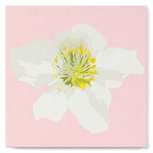 Mini Malen nach Zahlen mit Rahmen 20x20cm - Hagebuttenblüte