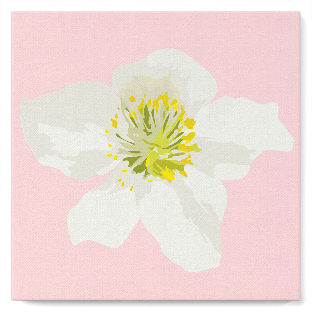 Mini Malen nach Zahlen mit Rahmen 20x20cm - Hagebuttenblüte