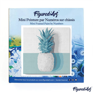 Mini Malen nach Zahlen mit Rahmen - Ananas