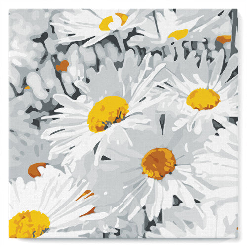 Mini Malen nach Zahlen mit Rahmen 20x20cm - Hübsche Gänseblümchen