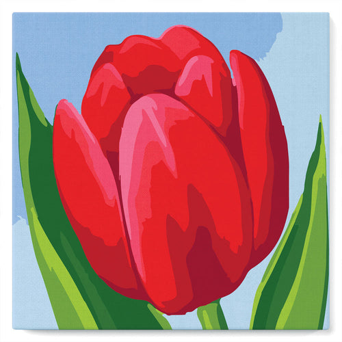 Mini Malen nach Zahlen mit Rahmen 20x20cm - Rote Tulpe
