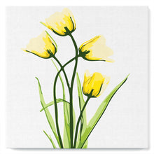 Laden Sie das Bild in den Galerie-Viewer, Mini Malen nach Zahlen mit Rahmen 20x20cm - Hübsche gelbe Blumen