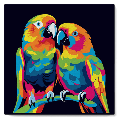 Mini Malen nach Zahlen mit Rahmen - Papageien Abstrakt Pop Art