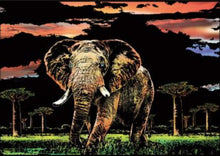 Laden Sie das Bild in den Galerie-Viewer, Kratzbild – Elefant