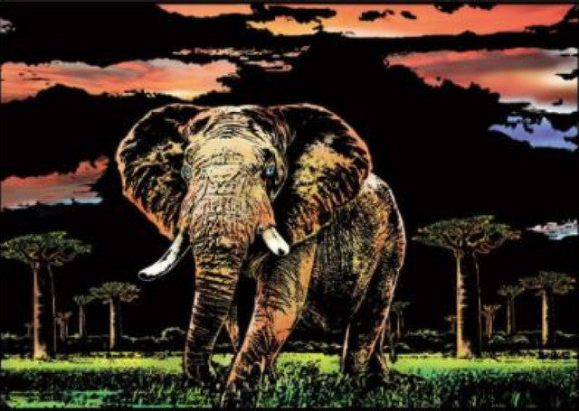 Kratzbild – Elefant