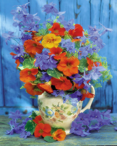 Malen nach Zahlen – Blumenstrauß in Orange und Lila