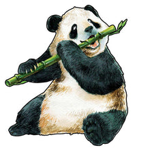 Laden Sie das Bild in den Galerie-Viewer, 2D Holzpuzzle – Hungriger Panda