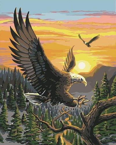Malen nach Zahlen fŸr Erwachsene |ÊAdler bei Sonnenaufgang | Figured'Art