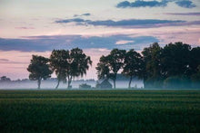 Laden Sie das Bild in den Galerie-Viewer, Malen nach Zahlen fŸr Erwachsene |ÊBäume im Nebel | Figured&#39;Art