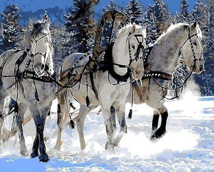 Malen nach Zahlen fŸr Erwachsene |ÊDrei Pferde im Schnee | Figured'Art