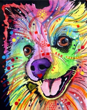 Laden Sie das Bild in den Galerie-Viewer, Malen nach Zahlen fŸr Erwachsene |ÊSchöner Hund | Figured&#39;Art