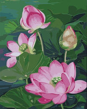 Laden Sie das Bild in den Galerie-Viewer, Malen nach Zahlen fŸr Erwachsene |ÊSchöne Lotusblume | Figured&#39;Art