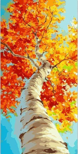 Malen nach Zahlen fŸr Erwachsene |ÊBirke im Herbst | Figured'Art