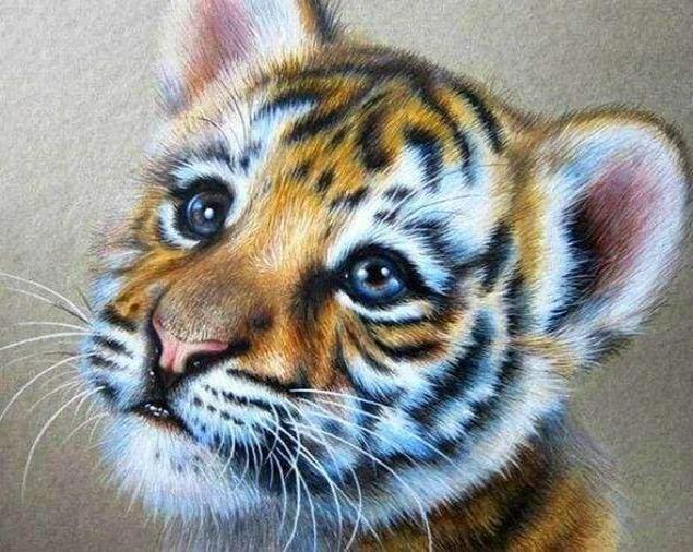 Diamond Painting – Tiger Baby