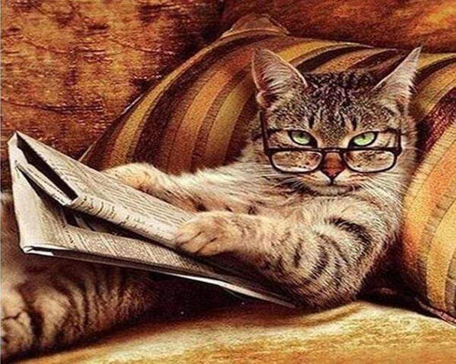 Diamond Painting – Lesende Katze