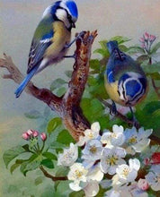 Laden Sie das Bild in den Galerie-Viewer, Diamond Painting – Blaumeise auf Ast – 40 x 50 cm auf Keilrahmen gespannt | Figured&#39;Art