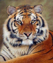 Laden Sie das Bild in den Galerie-Viewer, Diamond Painting – Tigerauge – 40 x 50 cm auf Keilrahmen gespannt | Figured&#39;Art