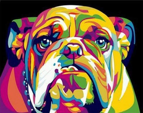 Malen nach Zahlen fŸr Erwachsene |ÊBulldog Pop Art | Figured'Art