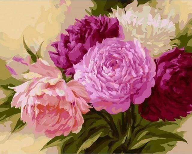 Malen nach Zahlen fŸr Erwachsene |ÊBlumen in drei Farben | Figured'Art
