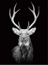 Laden Sie das Bild in den Galerie-Viewer, Malen nach Zahlen fŸr Erwachsene |ÊMajestätischer Hirsch | Figured&#39;Art