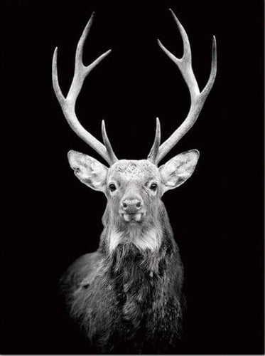 Malen nach Zahlen fŸr Erwachsene |ÊMajestätischer Hirsch | Figured'Art