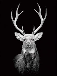 Malen nach Zahlen fŸr Erwachsene |ÊMajestätischer Hirsch | Figured'Art