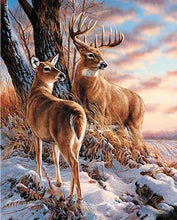 Laden Sie das Bild in den Galerie-Viewer, Malen nach Zahlen fŸr Erwachsene |ÊHirsch im Winter | Figured&#39;Art