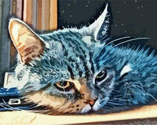 Laden Sie das Bild in den Galerie-Viewer, Malen nach Zahlen fŸr Erwachsene |ÊAmerikanisch Kurzhaarkatze | Figured&#39;Art