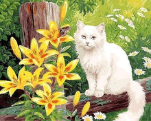 Laden Sie das Bild in den Galerie-Viewer, Malen nach Zahlen fŸr Erwachsene |ÊWeiße Katze und Schmetterling | Figured&#39;Art