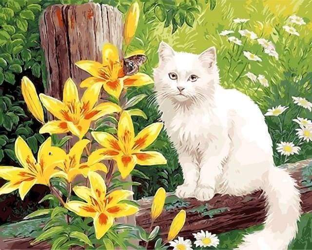 Malen nach Zahlen fŸr Erwachsene |ÊWeiße Katze und Schmetterling | Figured'Art