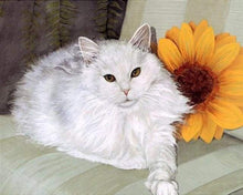 Laden Sie das Bild in den Galerie-Viewer, Malen nach Zahlen fŸr Erwachsene |ÊWeiße Katzen und Sonnenblume | Figured&#39;Art