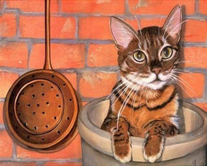 Malen nach Zahlen fŸr Erwachsene |ÊKatze versteckt in der Küche | Figured'Art