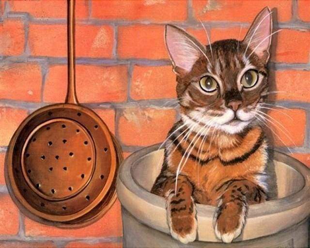 Malen nach Zahlen fŸr Erwachsene |ÊKatze versteckt in der Küche | Figured'Art