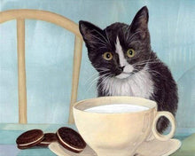Laden Sie das Bild in den Galerie-Viewer, Malen nach Zahlen fŸr Erwachsene |ÊKatze in der Küche | Figured&#39;Art