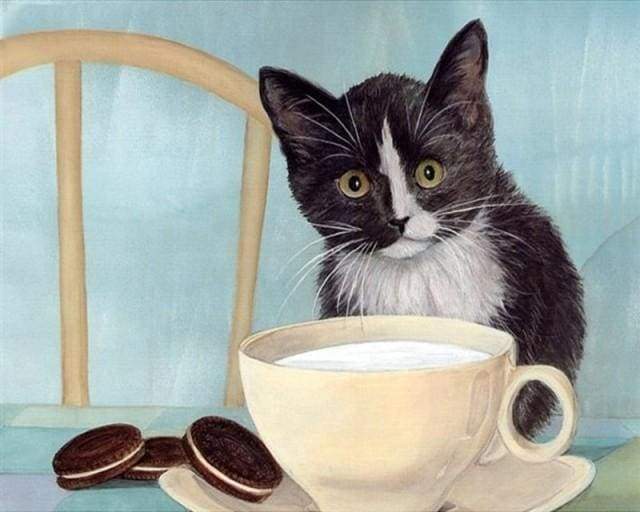 Malen nach Zahlen fŸr Erwachsene |ÊKatze in der Küche | Figured'Art