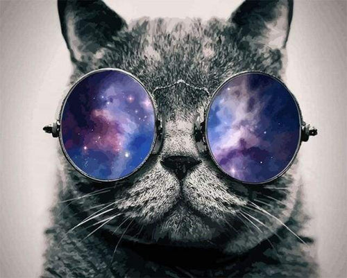 Malen nach Zahlen fŸr Erwachsene |ÊKatze und Sonnenbrillen | Figured'Art