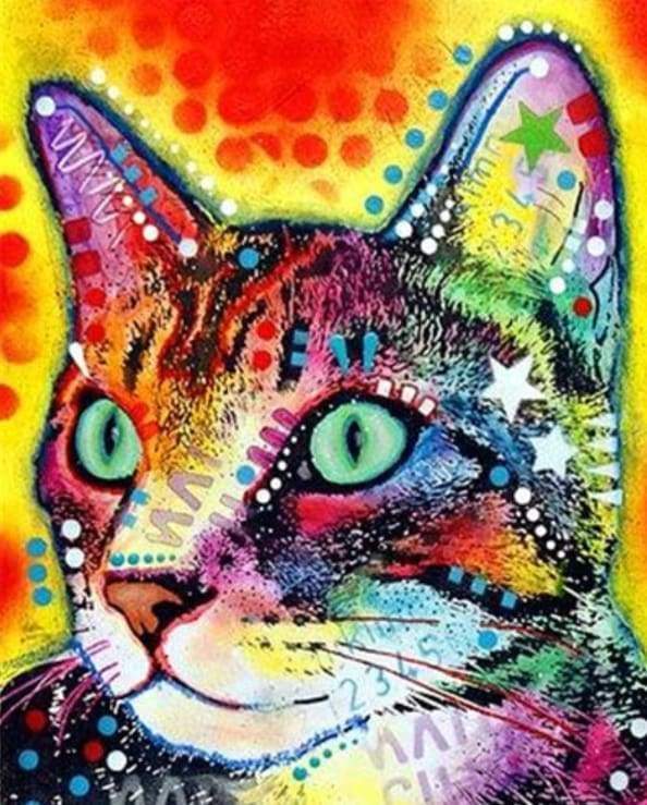 Malen nach Zahlen fŸr Erwachsene |ÊBunte Katze mit Sternen | Figured'Art