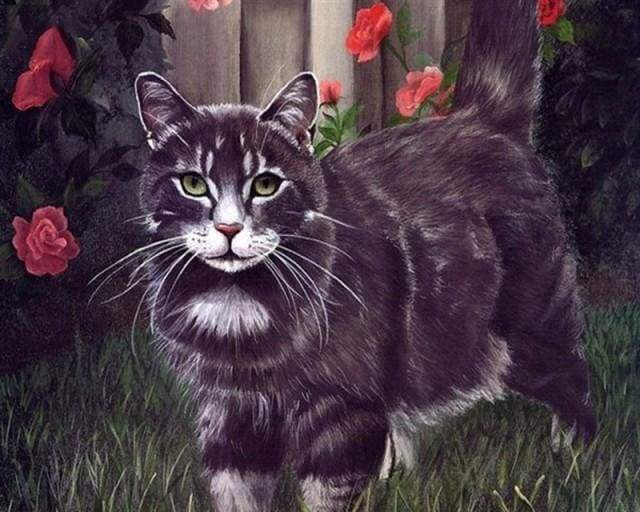 Malen nach Zahlen fŸr Erwachsene |ÊSchwarze Katze | Figured'Art