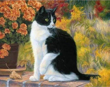Laden Sie das Bild in den Galerie-Viewer, Malen nach Zahlen fŸr Erwachsene |ÊSchwarze und weiße Katze | Figured&#39;Art