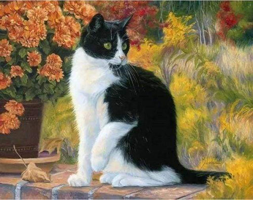 Malen nach Zahlen fŸr Erwachsene |ÊSchwarze und weiße Katze | Figured'Art